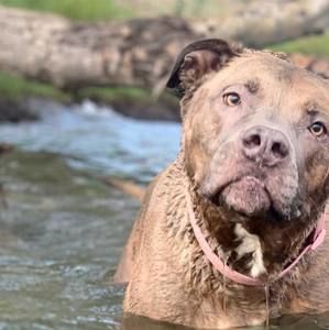 Meet your Posher, Cody